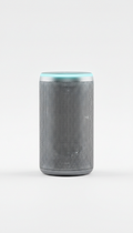 Bluetooth Speaker with Frosted Steel Finish