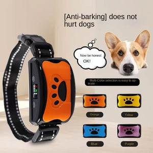 Pet Supplies